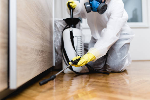 Wasp Removal Services in Cochituate, MA