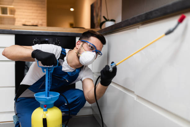 Best Pest Removal Services  in Cochituate, MA