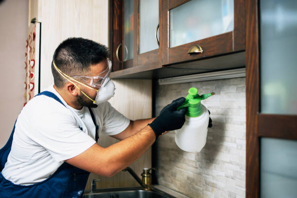 Best Mosquito Control Services  in Cochituate, MA