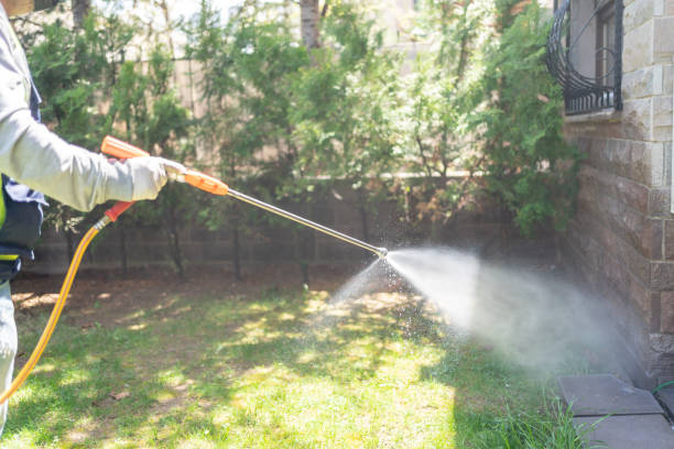 Best Pest Control for Restaurants  in Cochituate, MA