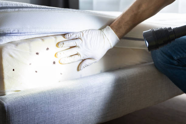 Best Pest Control Near Me  in Cochituate, MA