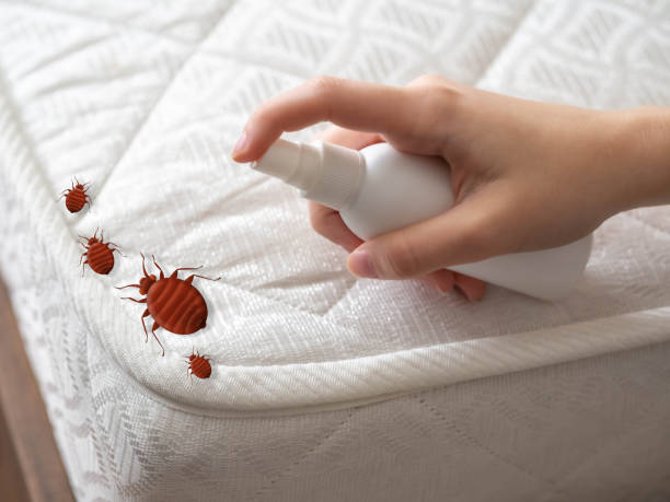 Best Residential Pest Control  in Cochituate, MA