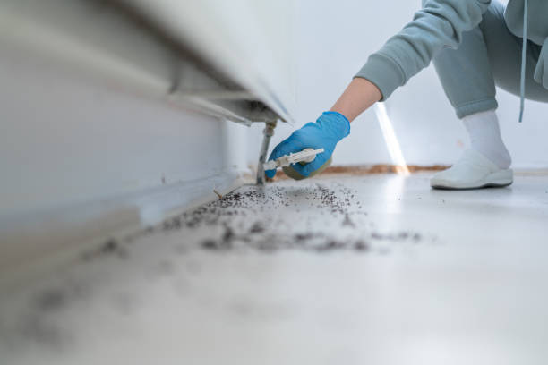 Best Cockroach Control Services  in Cochituate, MA
